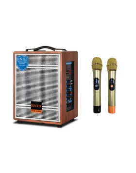 Ηχείο με λειτουργία Karaoke 300watt + BLUETOOTH + 2 ασύρματα μικρόφωνα 6,5''(ιντσών) BT1000 (BT300)